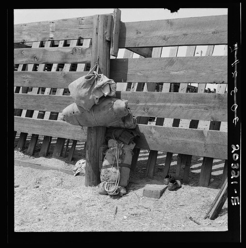 Bundles against cattle corrals by the railroad track. Washington, Yakima Valley, near Toppenish