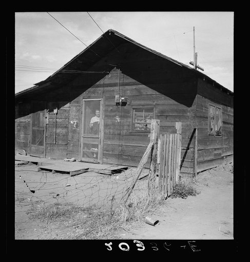 Family living in shacktown community. Washington, Yakima Valley, Wapato
