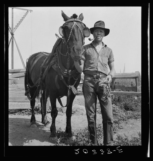 Hired man on the Myers farm. Near Outlook, Yakima County, Washington