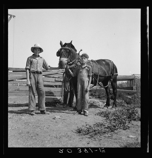 Untitled photo, possibly related to: Hired man helps the farmers' oldest boy on the Myers farm. Washington, near Outlook, Yakima County