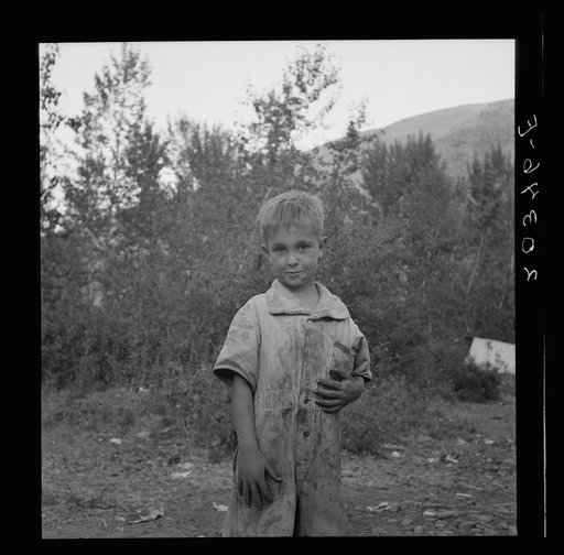 This is a younger brother who also picks hops. Washington, near Toppenish, Yakima Valley