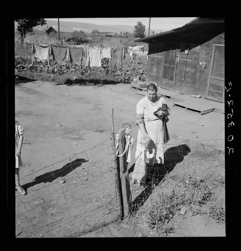 Family living in shacktown community, mostly from Kansas and Missouri. This family has five children, oldest in third grade. Rent seven dollars per month, no plumbing. Husband working on Work Projects Administration wages, forty four dollars. Washington, Yakima Valley
