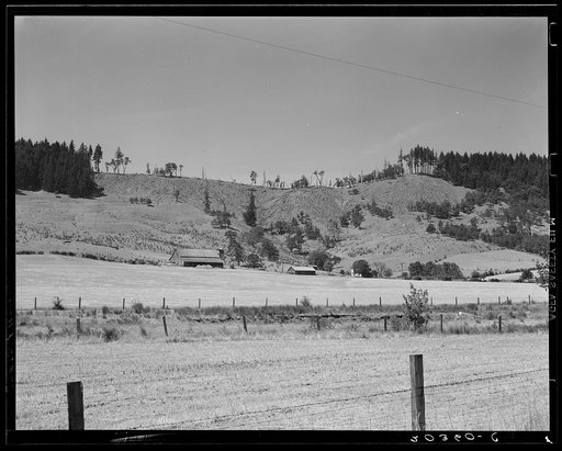 Untitled photo, possibly related to: Grain farm. Note how timber has been cut from the ridge. Oregon, near Yoncalla, Douglas County
