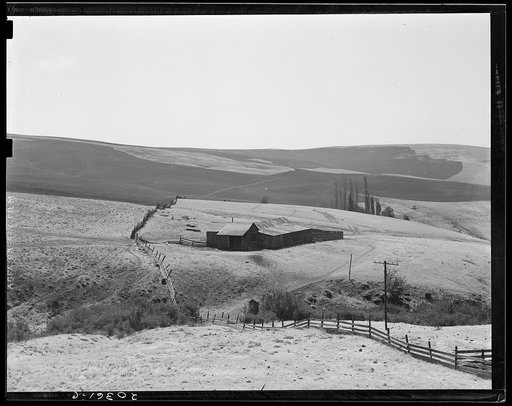 Desert stock farm, South Central Washington, in region where much land has been overgrazed. Washington, Klickitat County, on U.S. 97
