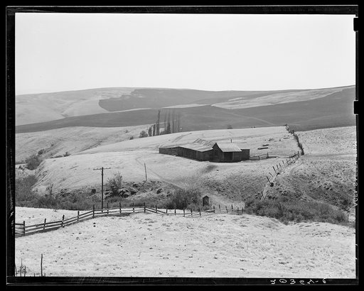 Untitled photo, possibly related to: Desert stock farm, south central Washington, in region where much land has been overgrazed. Washington, Klickitat County