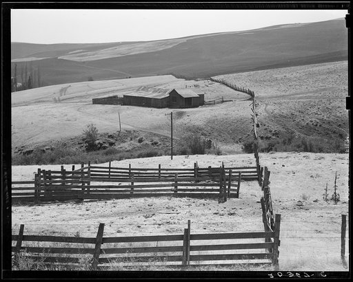 Untitled photo, possibly related to: Desert stock farm, south central Washington, in region where much land has been overgrazed. Washington, Klickitat County