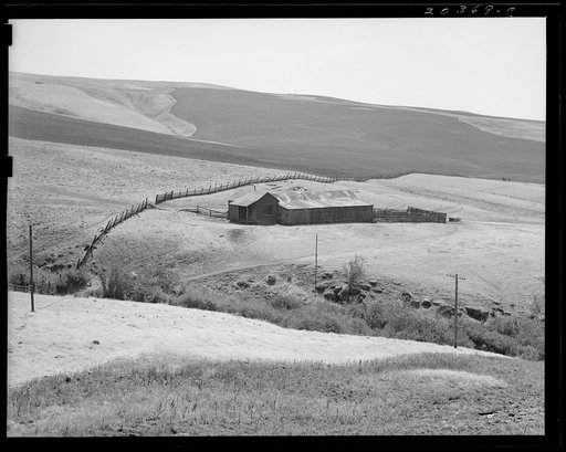 Untitled photo, possibly related to: Desert stock farm, south central Washington, in region where much land has been overgrazed. Washington, Klickitat County