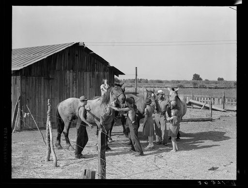 Chris Adolf, his team, and six of his children on their new farm. Washington, Yakima Valley, near Wapato