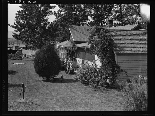 Untitled photo, possibly related to: Washington, Yakima Valley, near Wapato. One tenant purchase program (Farm Security Administration) client, Jacob N. Schrock. This family with eight children had lived for twenty-five years on a rocky, rented farm in this valley. They now own forty eight acres of 