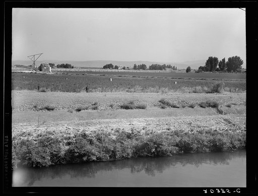 Washington, Yakima Valley, near Wapato. Name of Borrower, Edgar Hardt. On Tenant Purchase farm. Forty acres, price six thousand fifty dollars, all stock and machinery included. Diversified irrigated farm, raising grapes, tomatoes, cantaloupes and watermelons, sweet and field corn, hay and grain. The