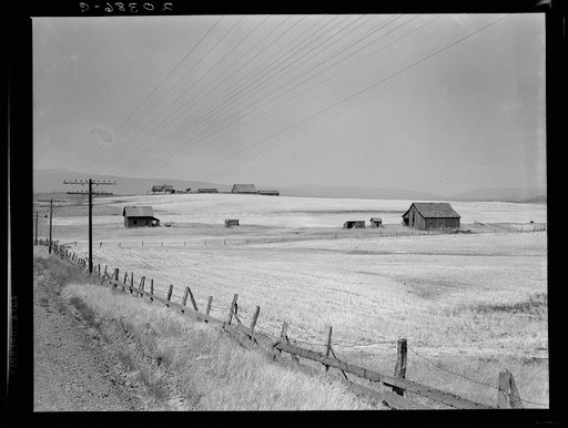 Washington, Klickitat County, near Goldendale. Wheat country, abandoned farm in foreground, occupied farm beyond. Heard in local filling station: "Well, heck, the large farmers are buying out the small farmers and taking over the country. The farmers have to do it in dry land farming to build their 