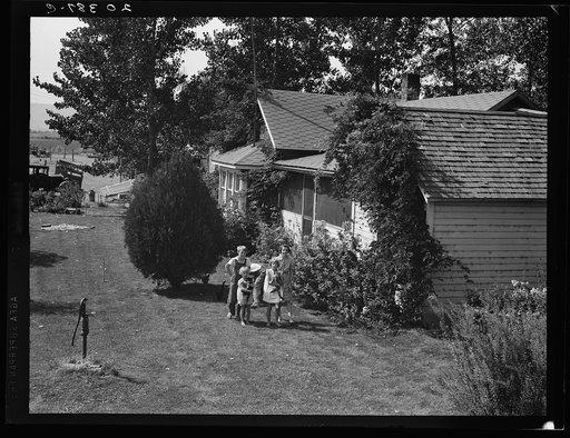 Untitled photo, possibly related to: Washington, Yakima Valley, near Wapato. One tenant purchase program (Farm Security Administration) client, Jacob N. Schrock. This family with eight children had lived for twenty-five years on a rocky, rented farm in this valley. They now own forty eight acres of 