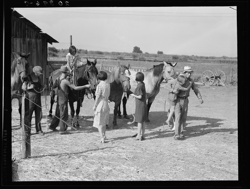 Untitled photo, possibly related to: Chris Adolf, his team, and six of his children on their new farm. Washington, Yakima Valley, near Wapato