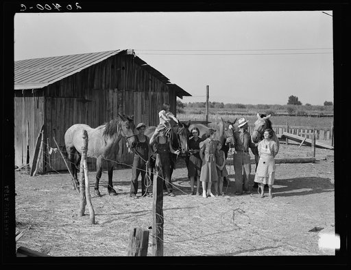 Untitled photo, possibly related to: Chris Adolf, his team, and six of his children on their new farm. Washington, Yakima Valley, near Wapato