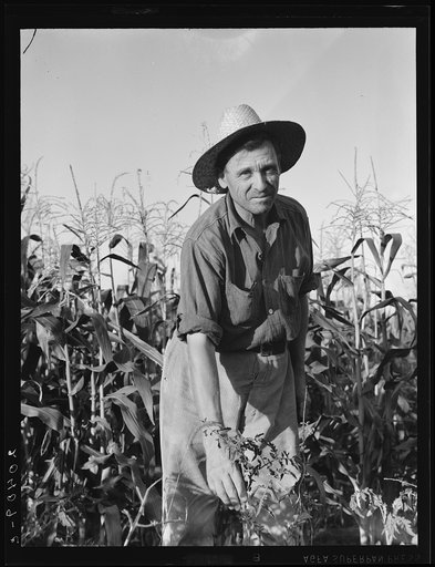 Untitled photo, possibly related to: Washington, Yakima Valley. Drought refugee, aged sixty three, from Bismark, North Dakota. "Come to Washington three years ago in that Chevy coupe you see over there and twenty-five dollars cash. Had 480 acres back there. I dried out after thirty years, lost it, a