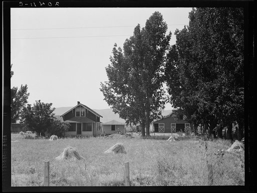 Untitled photo, possibly related to: On tenant purchase program (Farm Security Administration). Another view of E. Houston's farm. Washington, Yakima County, west of Toppenish
