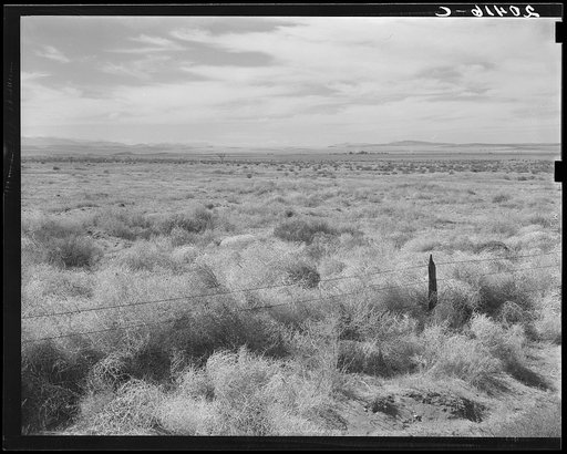 Washington, Grant County, north of Quincy. Abandoned farmland in the Columbia Basin