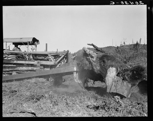 Western Washington, Lewis County. Bulldozer raises and pushes stump on cut-over farm