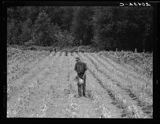 Untitled photo, possibly related to: Western Washington, Grays Harbor County, northeast of Elma. Hand irrigation on small rented subsistence farm. Family have been on place for one year