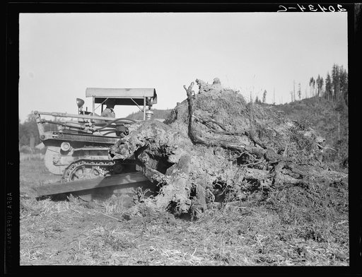 Untitled photo, possibly related to: Western Washington, Lewis County. Bulldozer raises and pushes stump on cut-over farm
