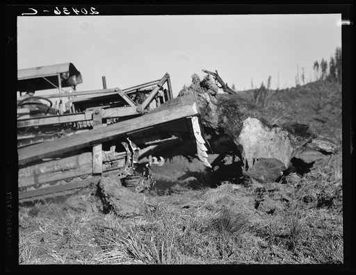 Untitled photo, possibly related to: Western Washington, Lewis County. Bulldozer raises and pushes stump on cut-over farm