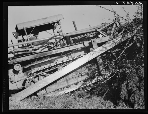 Untitled photo, possibly related to: Western Washington, Lewis County. Bulldozer raises and pushes stump on cut-over farm
