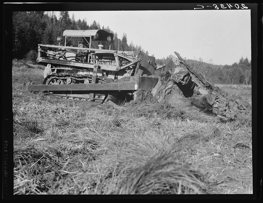 Untitled photo, possibly related to: Western Washington, Lewis County. Bulldozer raises and pushes stump on cut-over farm