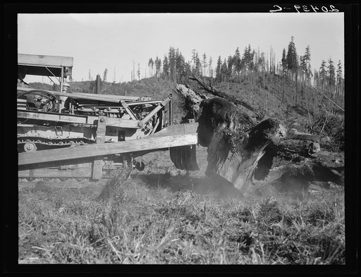 Western Washington, Lewis County. Caterpillar clearing land on cut-over western Washington farm