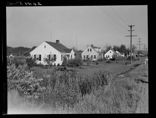 Untitled photo, possibly related to: Washington, Cowlitz County, Longview. Down one street on Longview homestead project, several years after completion. Note fruit trees