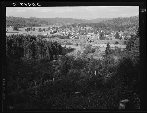 Untitled photo, possibly related to: Western Washington, Thurston County, Tenino, Washington. Looking down on western Washington small town