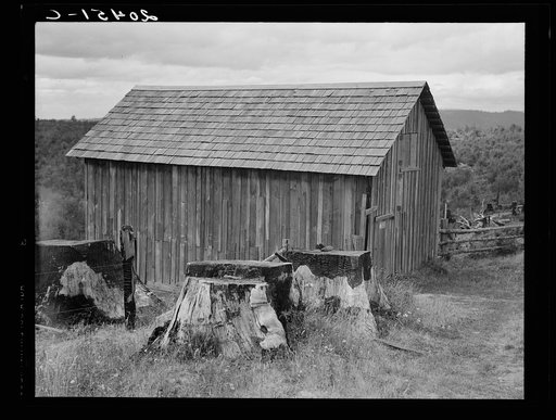 Western Washington, Thurston County, near Michigan Hill. Part of stump farm