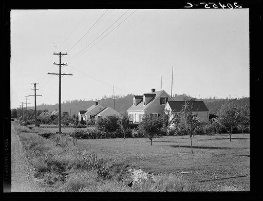 Washington, Cowlitz County, Longview. Down one street on Longview homestead project, several years after completion. Note fruit trees