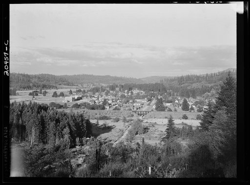 Western Washington, Thurston County, Tenino, Washington. Looking down on western Washington small town