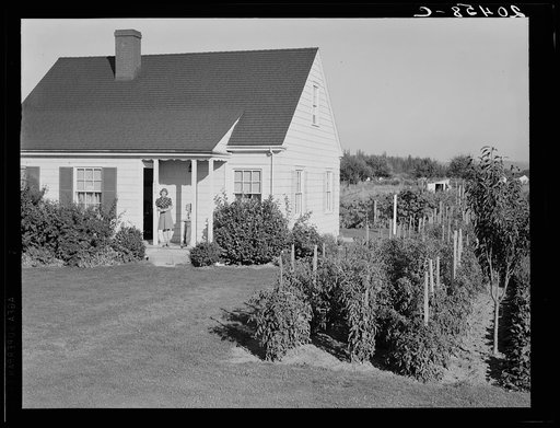 Untitled photo, possibly related to: Washington, Cowlitz County, Longview. On the Longview homesteads (Farm Security Administration) initiated in 1934. A project of sixty units where practically all are employed in one large lumber mill