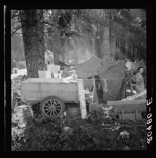Untitled photo, possibly related to: Oregon, Marion County, near West Stayton. Large private auto camp in woods at end of day. Bean pickers from many states. Refer to general caption 46