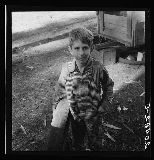 Oregon, Marion County, near West Stayton. Bean picker's child. Just arrived from near Joplin, Missouri. Question: "Why did you leave there?"  Answer: "We couldn't make it."