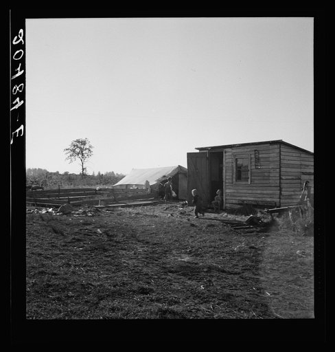 Untitled photo, possibly related to: Oregon, Marion County, near West Stayton. Bean pickers' children in camp at end of day
