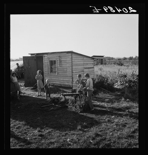Untitled photo, possibly related to: Oregon, Marion County, near West Stayton. Bean pickers' children in camp at end of day