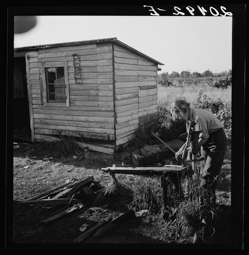 Untitled photo, possibly related to: Oregon, Marion County, near West Stayton. Bean pickers' children in camp at end of day