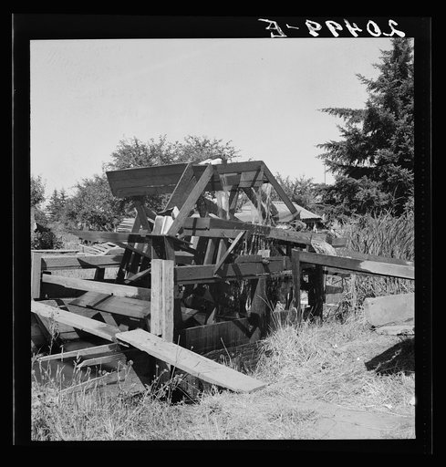Oregon, Marion County, north of West Stayton. Waterwheel for field irrigation in the bean country