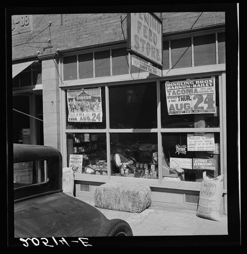 Western Washington, Thurston County, Tenino. Feed store opposite bank. See general caption number 37