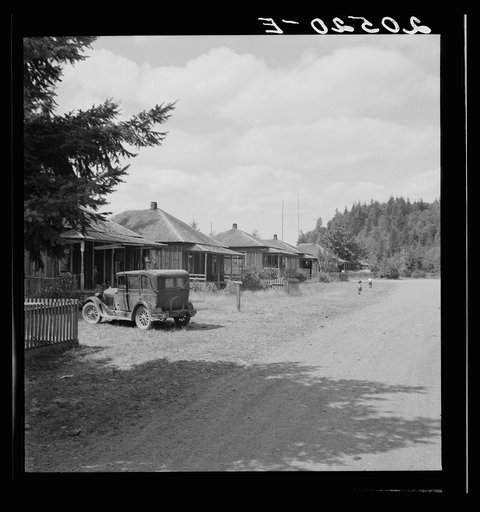 Untitled photo, possibly related to: Western Washington, Grays Harbor County, Malone, Washington. Company houses of closed mill, now mainly occupied by Works Projects Administration (WPA) workers. See general caption number 37