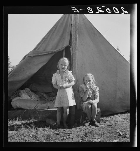 Untitled photo, possibly related to: Bean pickers' camp in grower's yard. No running water. Marion County, near West Stayton, Oregon. See general caption number 46