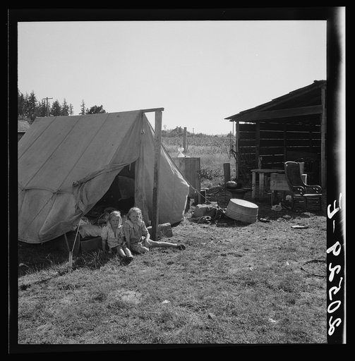 Untitled photo, possibly related to: Bean pickers' camp in grower's yard. No running water. Marion County, near West Stayton, Oregon. See general caption number 46