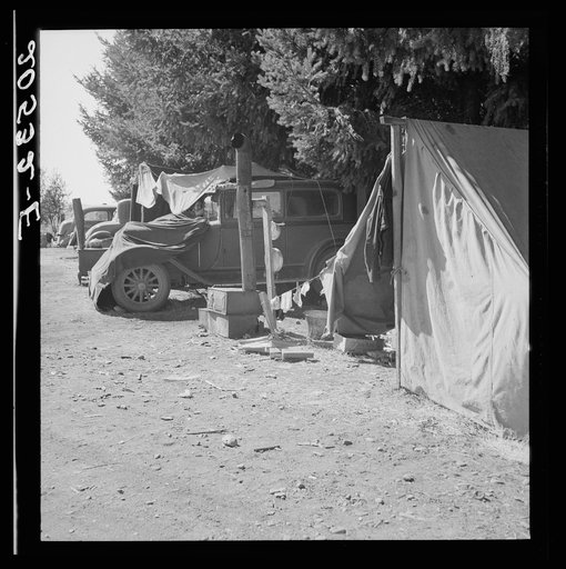 Oregon, Marion County, near West Stayton. Another migratory family camp during bean harvest. See general caption number 46