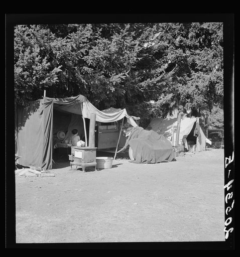 Oregon, Marion County, near West Stayton. Camp representative of fourteen in group. On grower's land adjoining the bean field. See general caption number 46