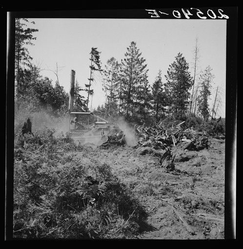 Western Washington, Lewis County, near Vader. Bulldozer clearing and pushing stumps to the pile where they will be burned. Nieman farm. General caption number 41