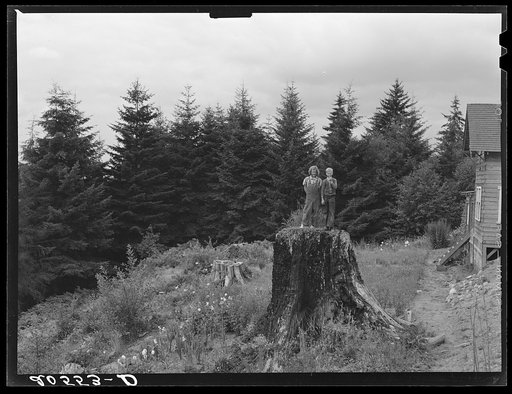 Untitled photo, possibly related to: Shows charater of the land in the hills surrounding Elma. Western Washington, Grays Harbor County, three miles north of Elma. See general caption number 38