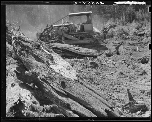 Untitled photo, possibly related to: Western Washington, Lewis County, near Vader. Bulldozer equipped with grader type blade. Nieman farm. General caption number 41