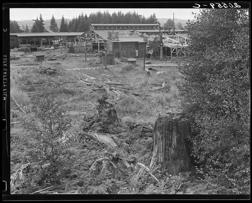 Untitled photo, possibly related to: Mumby Lumber Mill, closed in 1938 after thirty-five years operation. Now being dismantled. Western Washington, Grays Harbor County, Malone, Washington